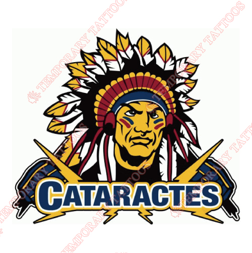 Shawinigan Cataractes Customize Temporary Tattoos Stickers NO.7467